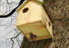 Eekhoornhuis Vurenhout met Zinken Dak – Nestkast voor Eekhoorns | Esschert Design – foto 2
