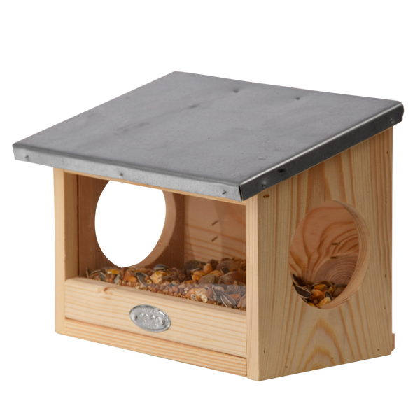 Futterstelle für Eichhörnchen