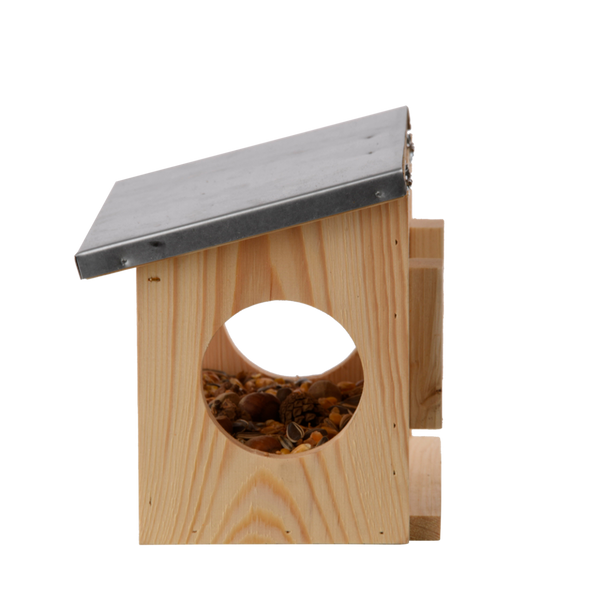 Futterstelle für Eichhörnchen