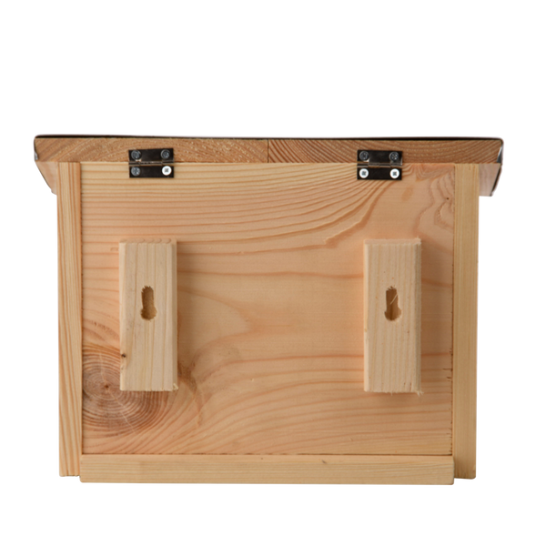 Futterstelle für Eichhörnchen