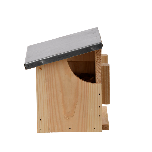 Eichhörnchen-Futterspender doppelt