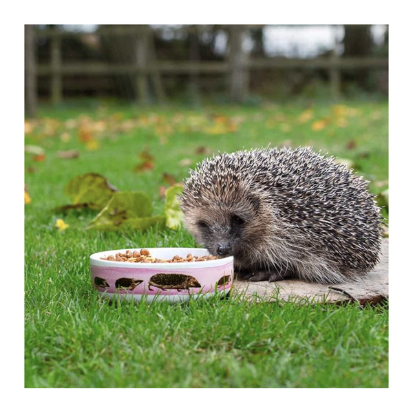 Myrte – Futternapf für Igel