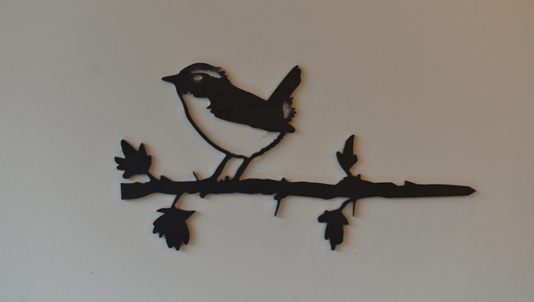 Birdwise - Zaunkönig