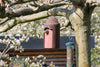 Vrijhangende mezenkast 2M van houtbeton – kat- en marterbestendig – foto 6