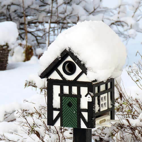 Vogelhaus Korsvirke Schwarz 2-in-1 Lärchenholz | Wildlife Garden