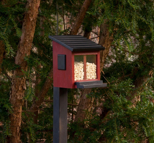Ekorrmatare Eichhörnchen-Box