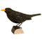 DecoBird - Amsel