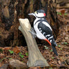 DecoBird - Buntspecht