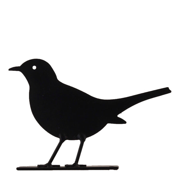 Schattenbild - Amsel