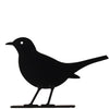 Schattenbild - Amsel