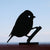 Silhouette - Blaumeise