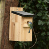 Blaumeisen-Nistkasten Herning Schwarzes Dach 28 mm | Vogelbescherming
