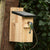 Blaumeisen-Nistkasten Herning Schwarzes Dach 28 mm | Vogelbescherming
