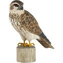 DecoBird - Turmfalke