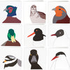Vogelkaarten Set van 9 – Wenskaarten met Vogelmotief | Wildlife Garden