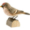 DecoBird - Redpoll