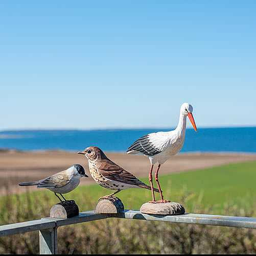 DecoBird - Singdrossel