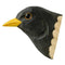 Magnet - Amsel