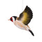 DecoBird Fliegender Stieglitz