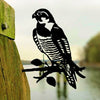 Birdwise - Wanderfalke