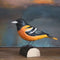 DecoBird Baltimore Pirol