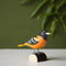 DecoBird Baltimore Pirol