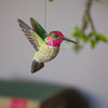 DecoBird Annas Kolibri