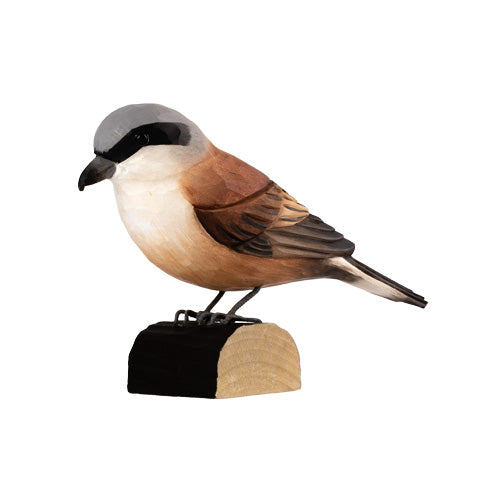 DecoBird - Raubwürger