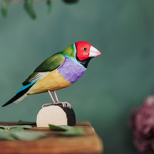 DecoBird - Goulds Fink