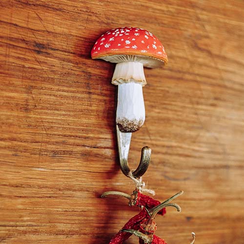 Fliegenpilz häkeln