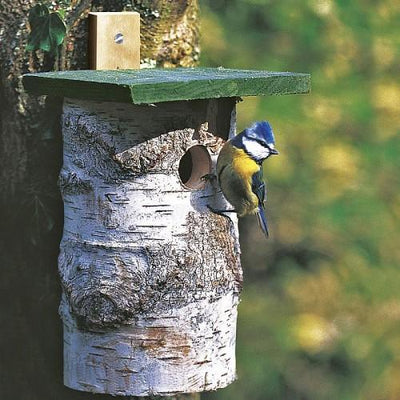 CJ Wildlife