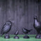 Wildlife Garden - Skulptur Taube aus Gusseisen
