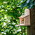 Sanjo Eichhörnchen-Futterhaus-Bausatz 
