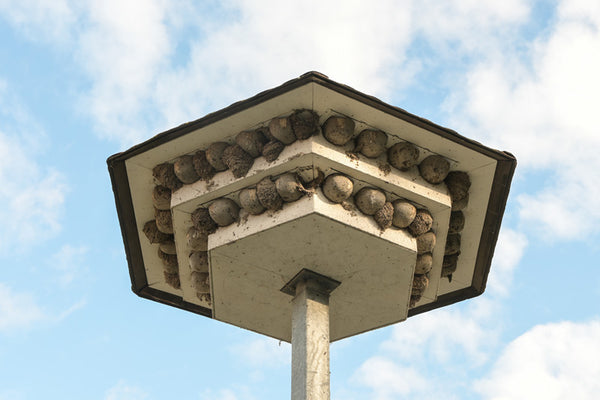 Huiszwaluw-aanbouwnest 13B – los kunstnest – foto 3