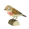 DecoBird - Hänfling