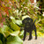 Stehender Welpe der Silhouette