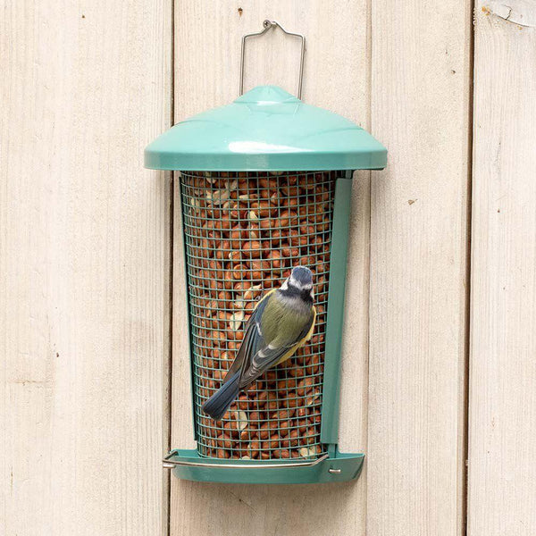 Vogelschutz - Premium Peanuts