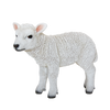 Stehendes Lamm