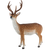Stehender Sikahirsch L