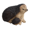 Igel mit Jungem