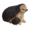 Igel mit Jungem