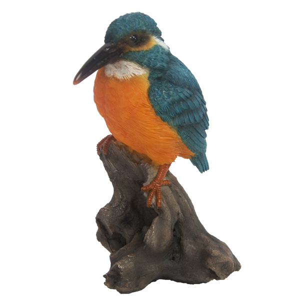 Eisvogel