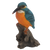 Eisvogel