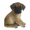 Sitzender Welpe der Deutschen Dogge