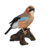 Flämischer Jay am Stamm