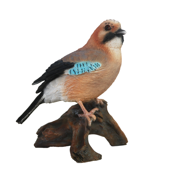 Flämischer Jay am Stamm