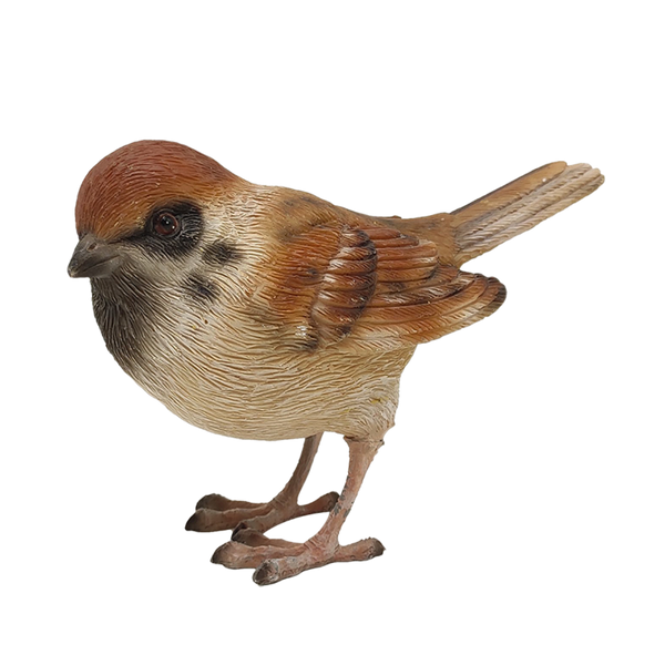 Spatz