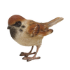 Spatz