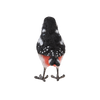 Buntspecht