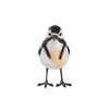 Buntspecht